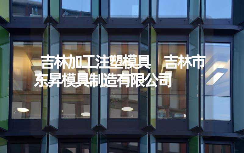 吉林加工注塑模具 吉林市东昇模具制造有限公司